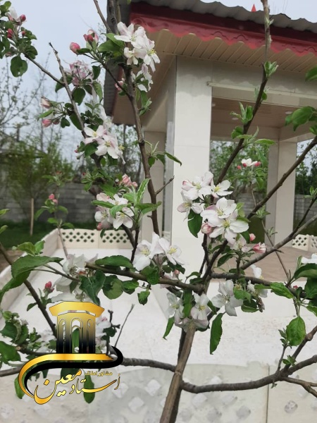 فروش ویلای روستایی املاک استاد معین